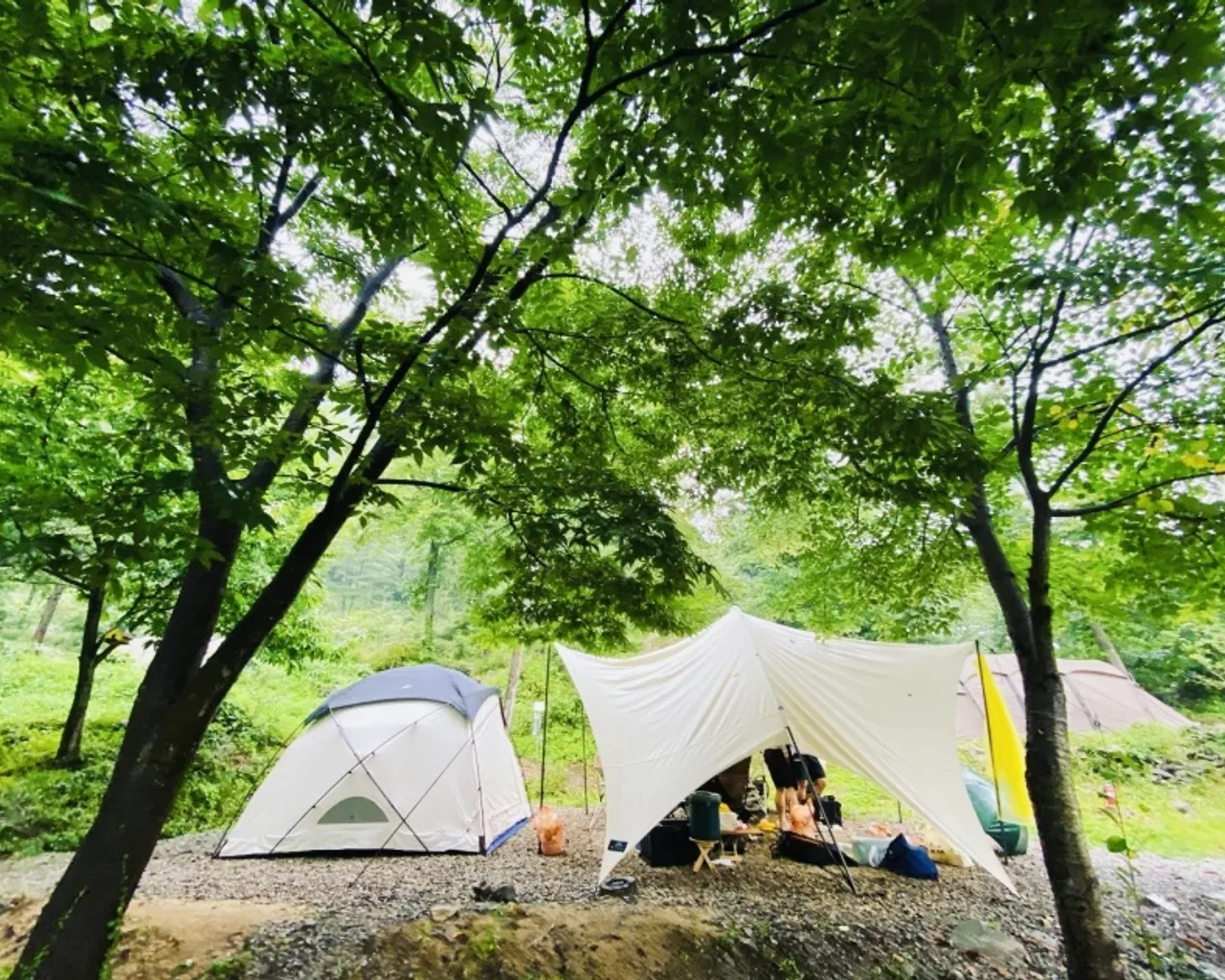 대표 사진