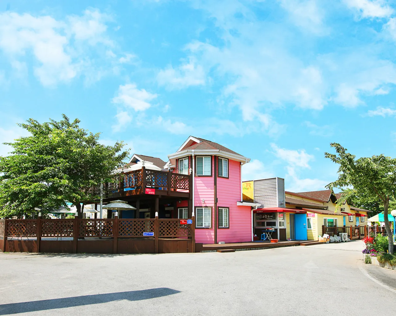 대표 사진