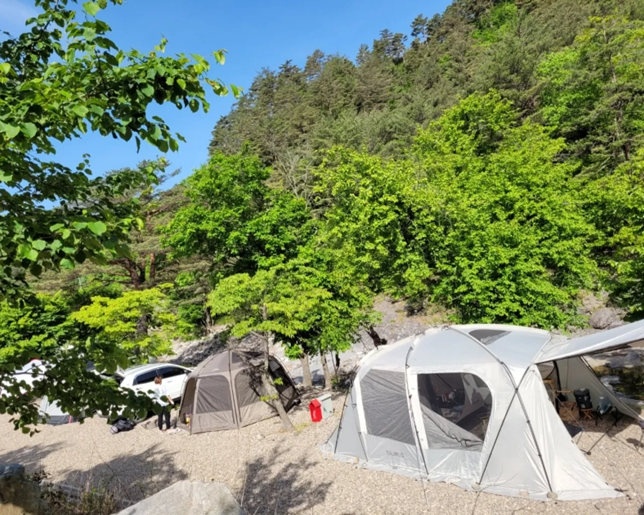 대표 사진