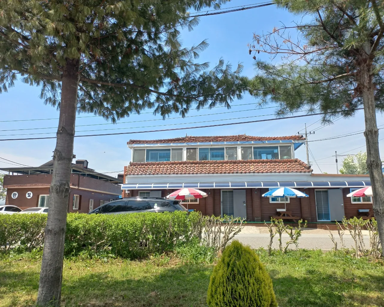 대표 사진