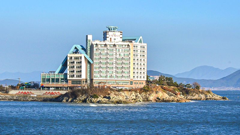 대표사진