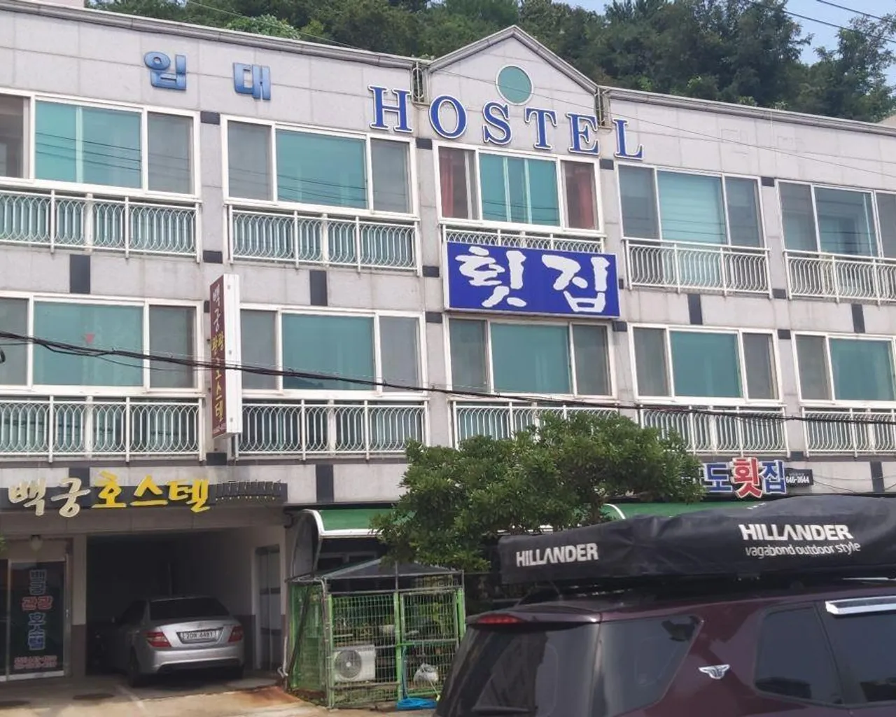 대표 사진