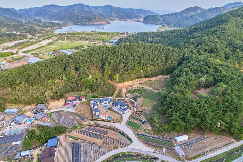 전경