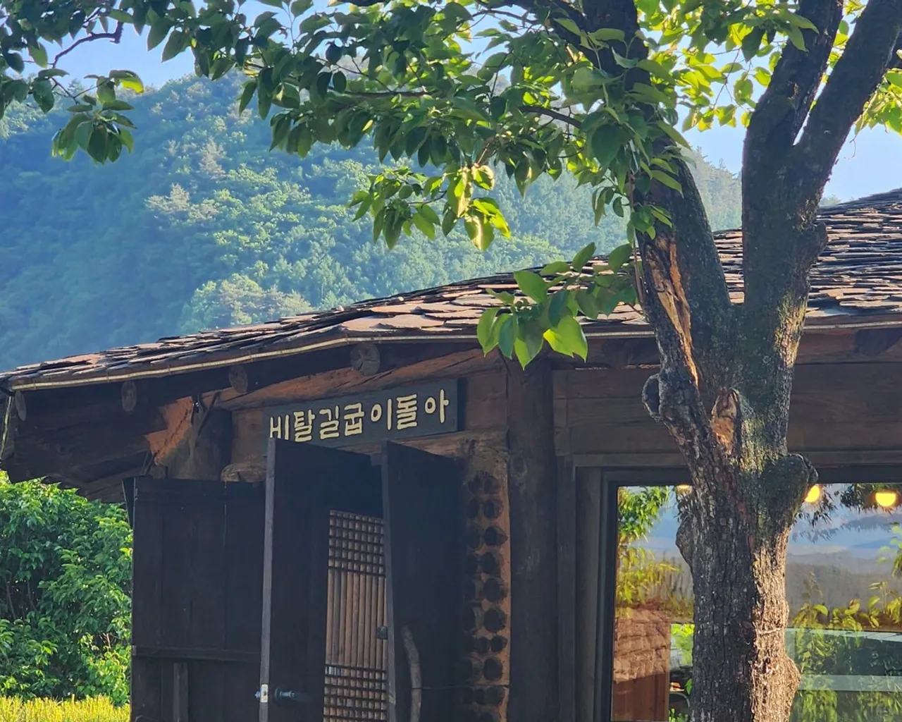 대표 사진