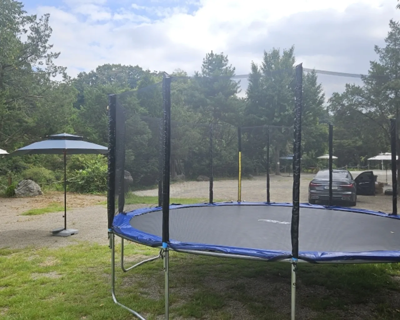 대표 사진