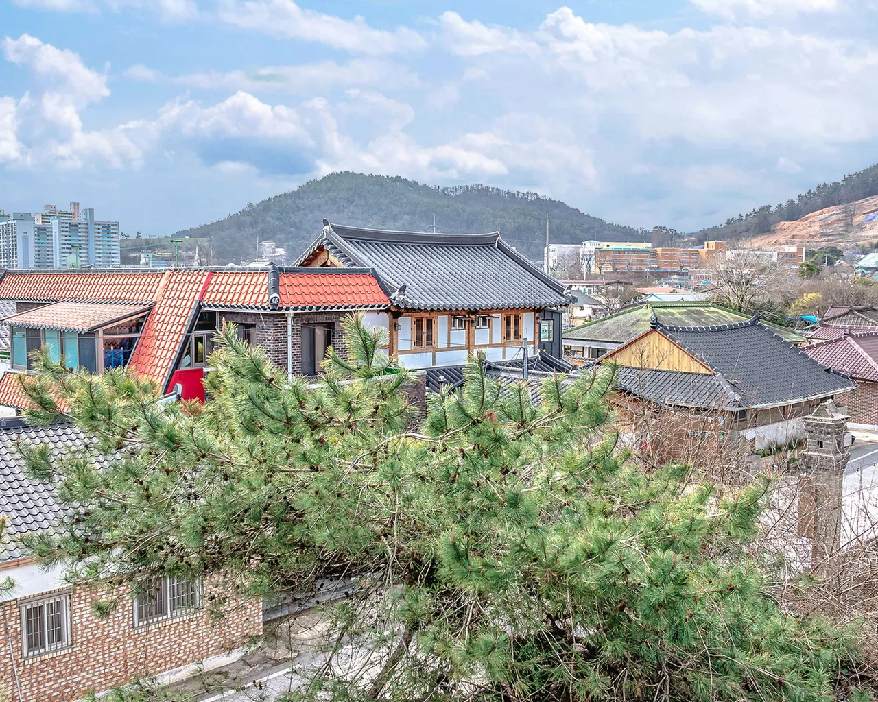 대표 사진
