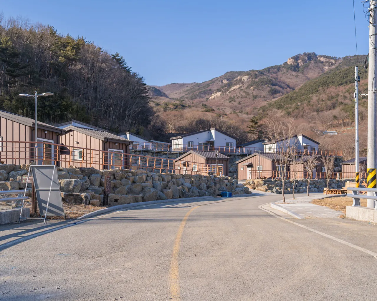 대표 사진