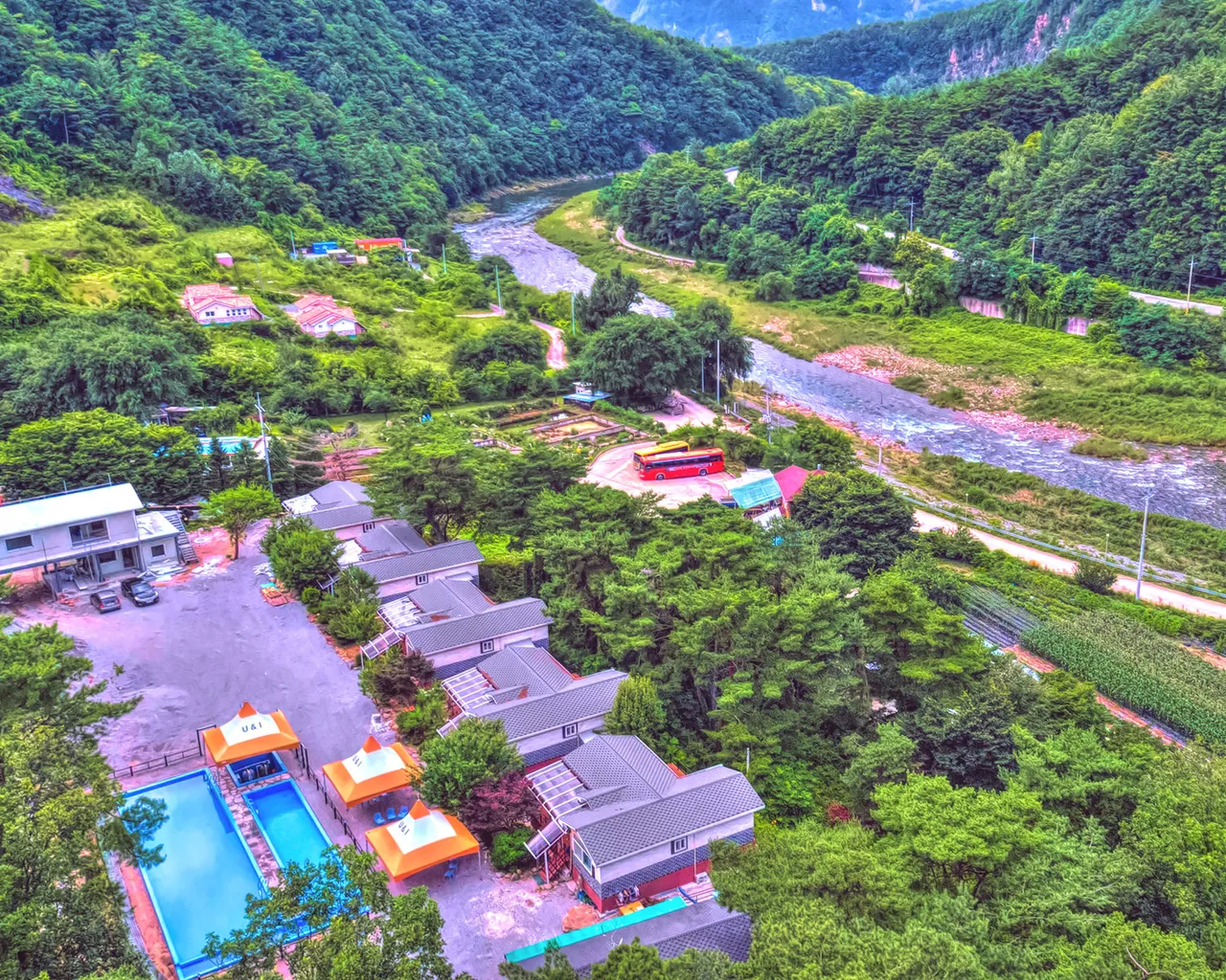 대표 사진