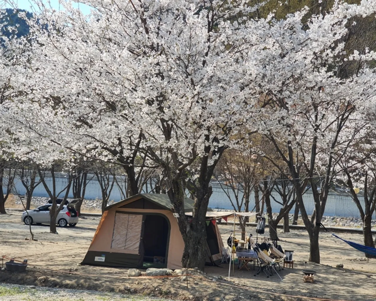 대표 사진