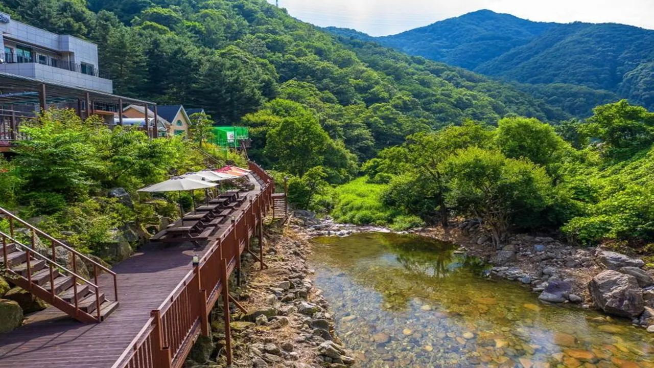 라비타키즈풀빌라 사진