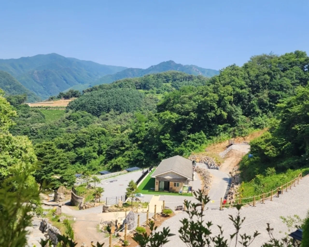 대표 사진