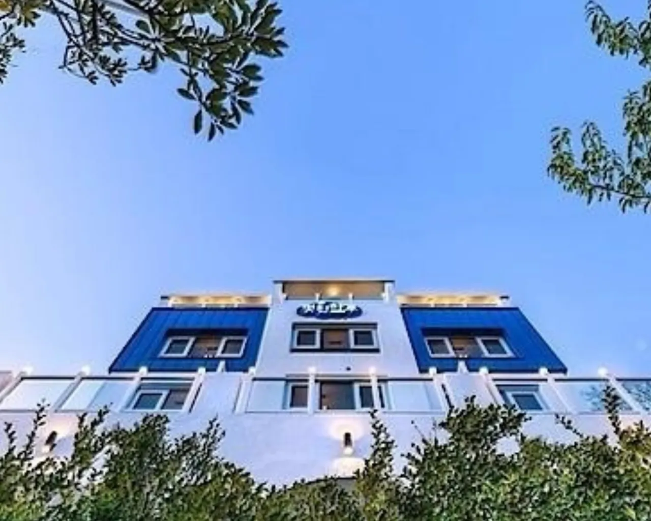 대표 사진