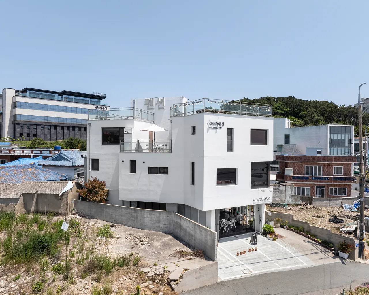 대표 사진