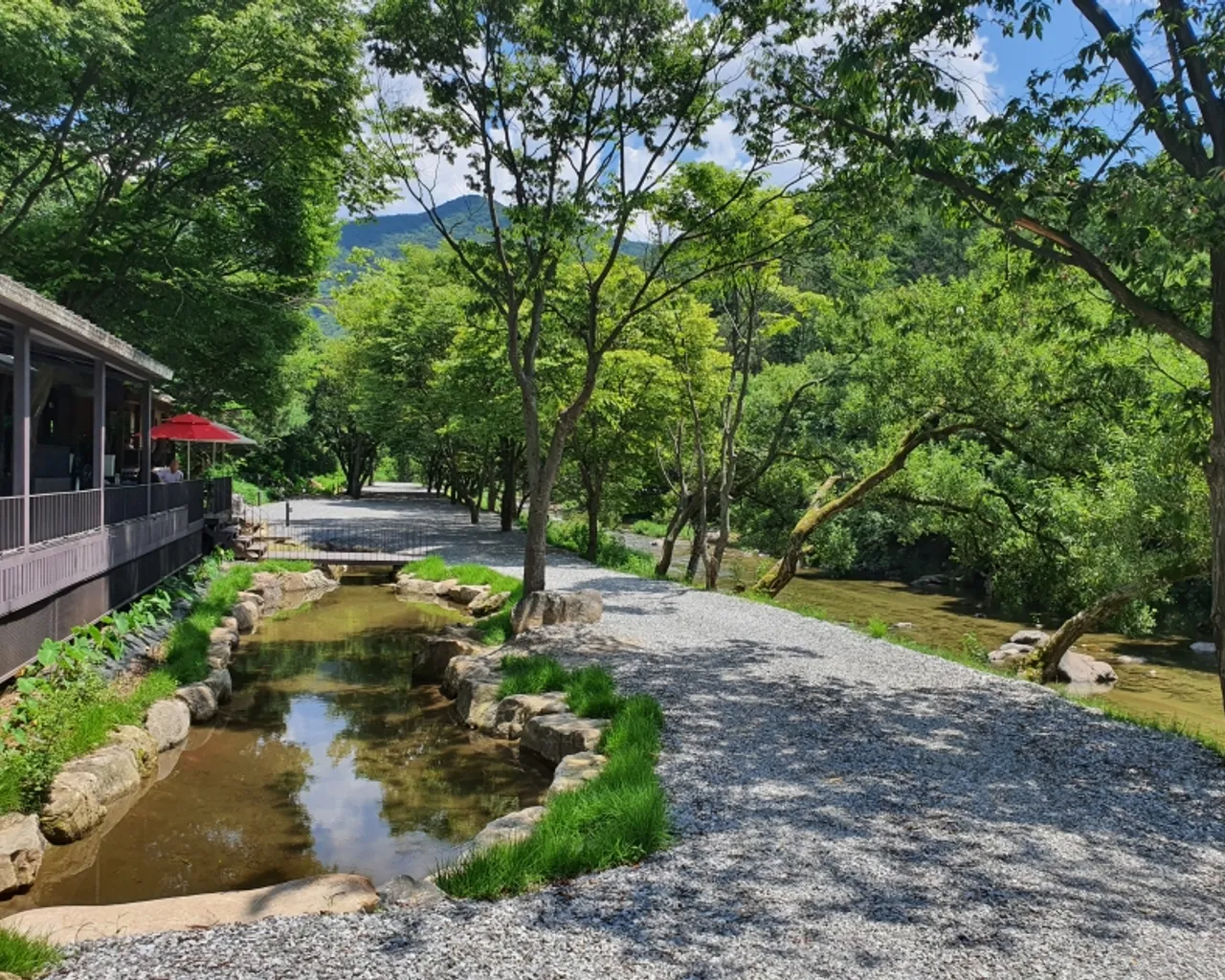 대표 사진