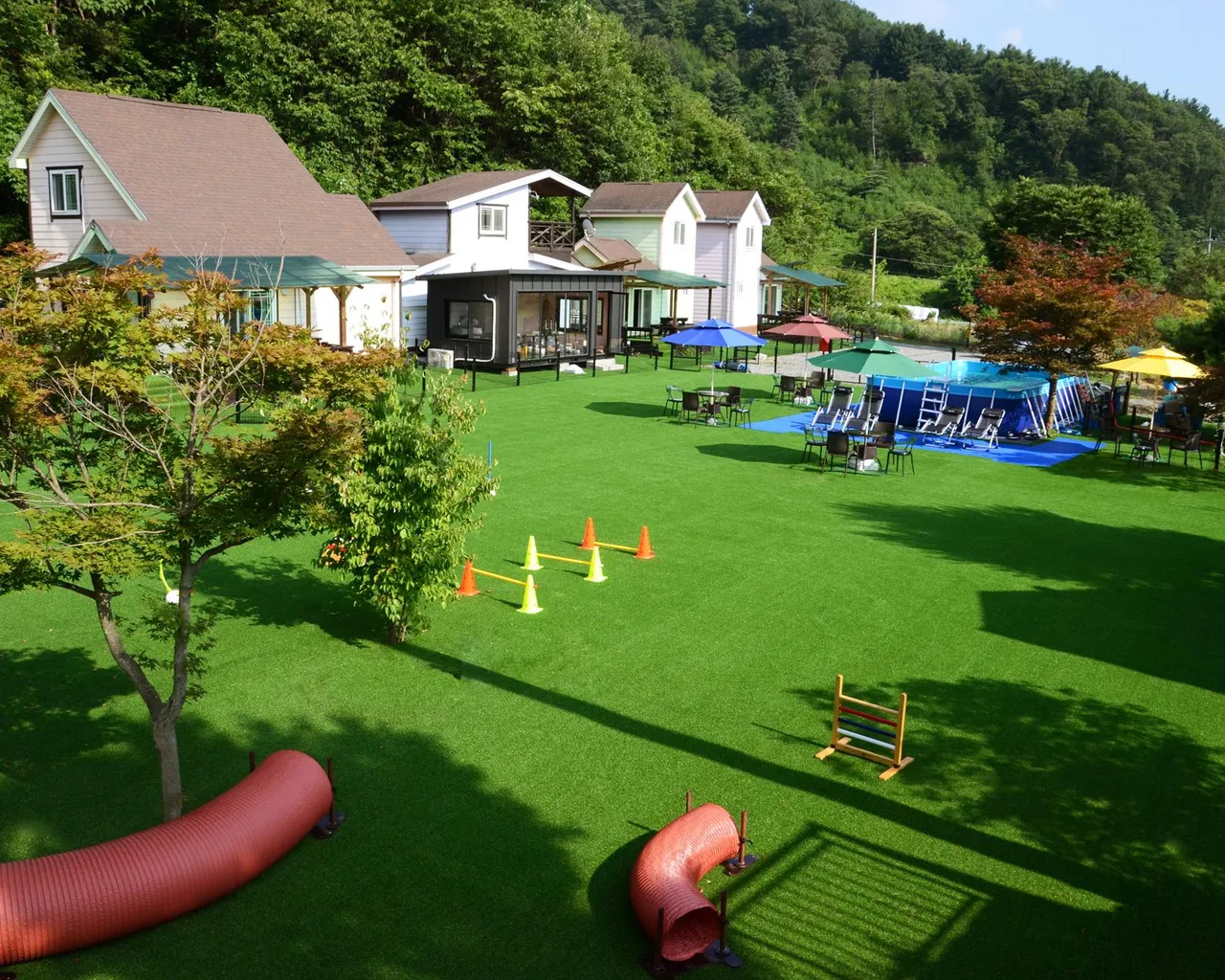 대표 사진