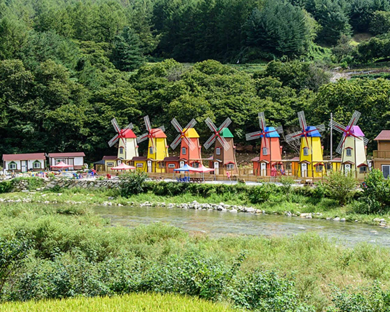 대표 사진