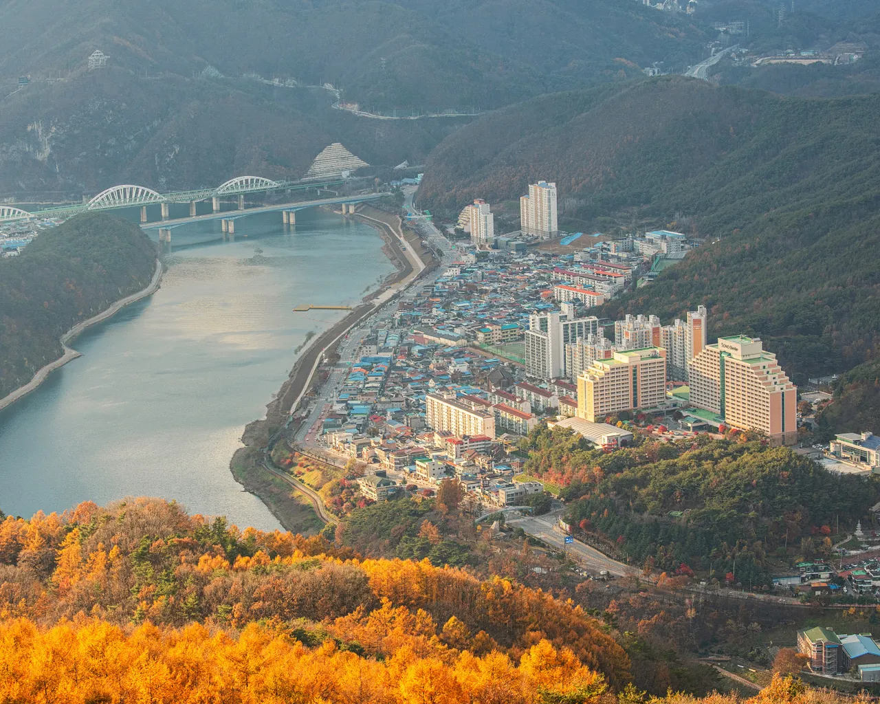 대표 사진