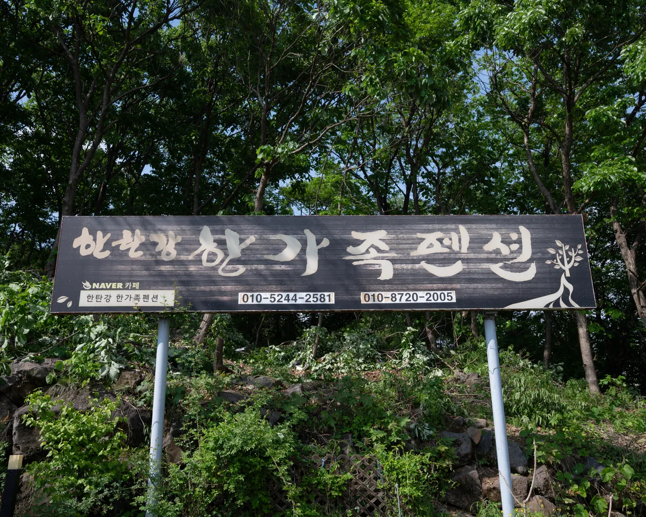 대표 사진
