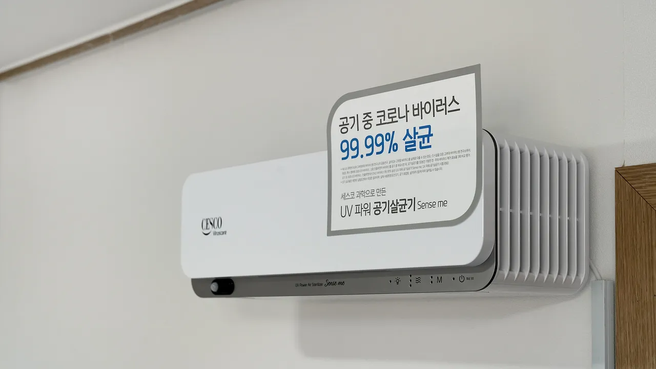 성산 백록 키즈 펜션 사진