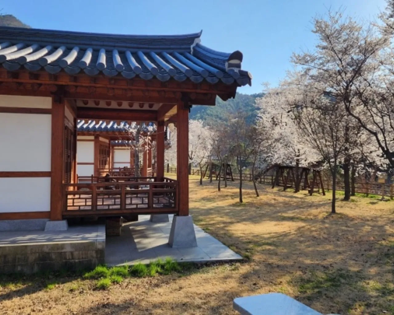 대표 사진