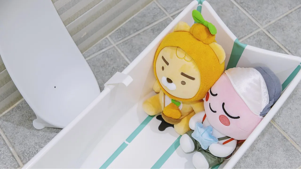 성산 백록 키즈 펜션 사진