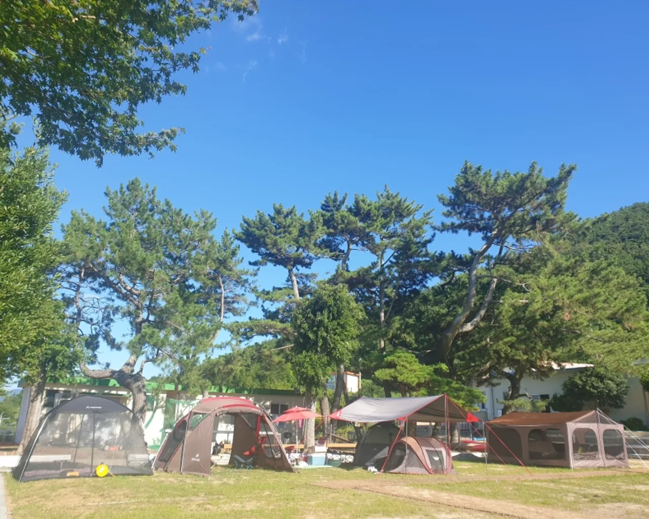대표 사진