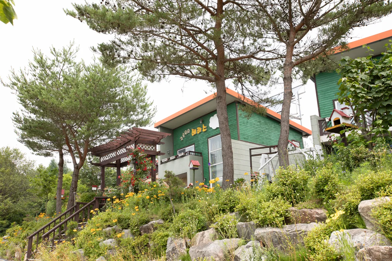 구름위의테라스 사진