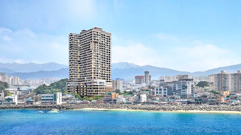 대표사진