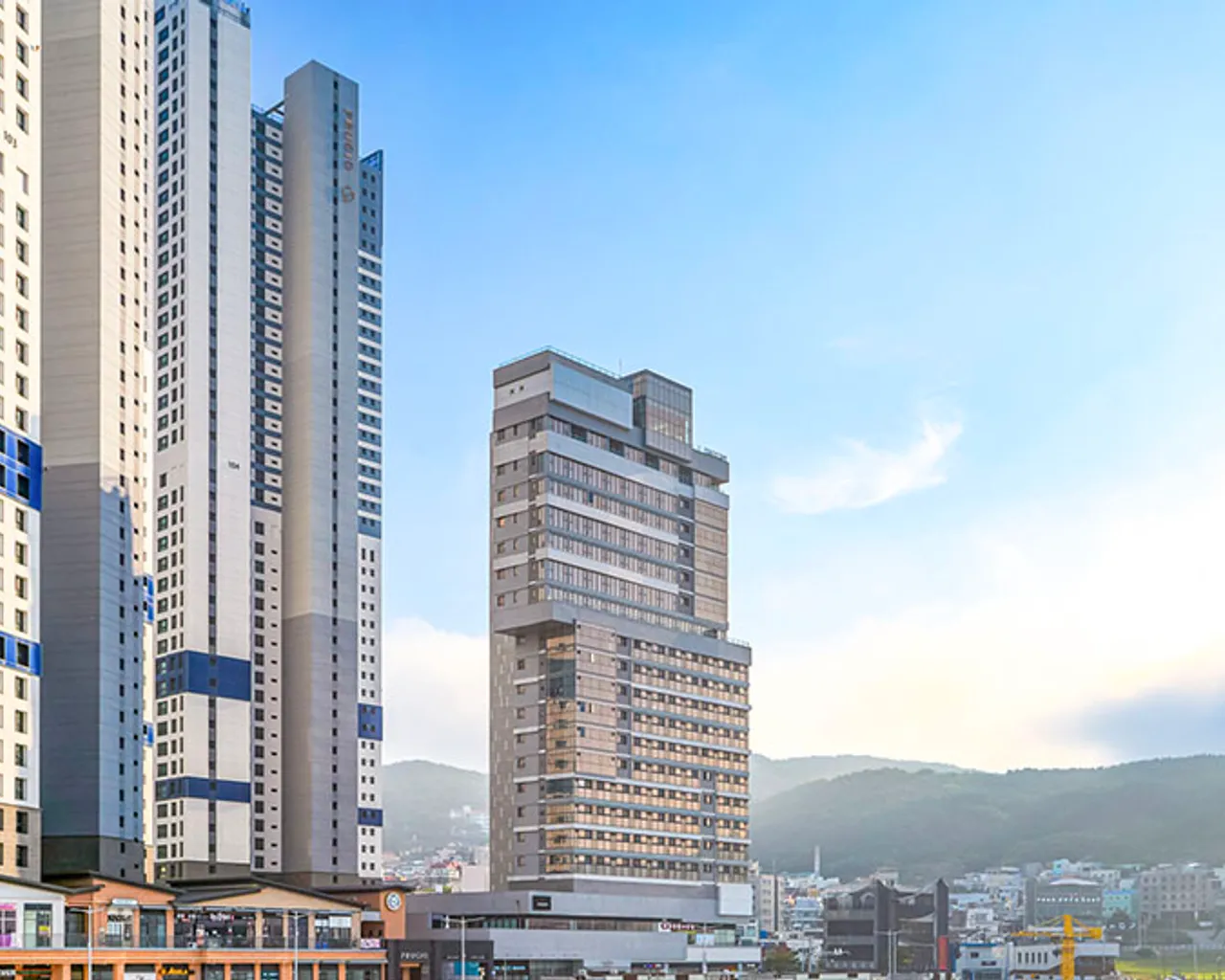 대표 사진