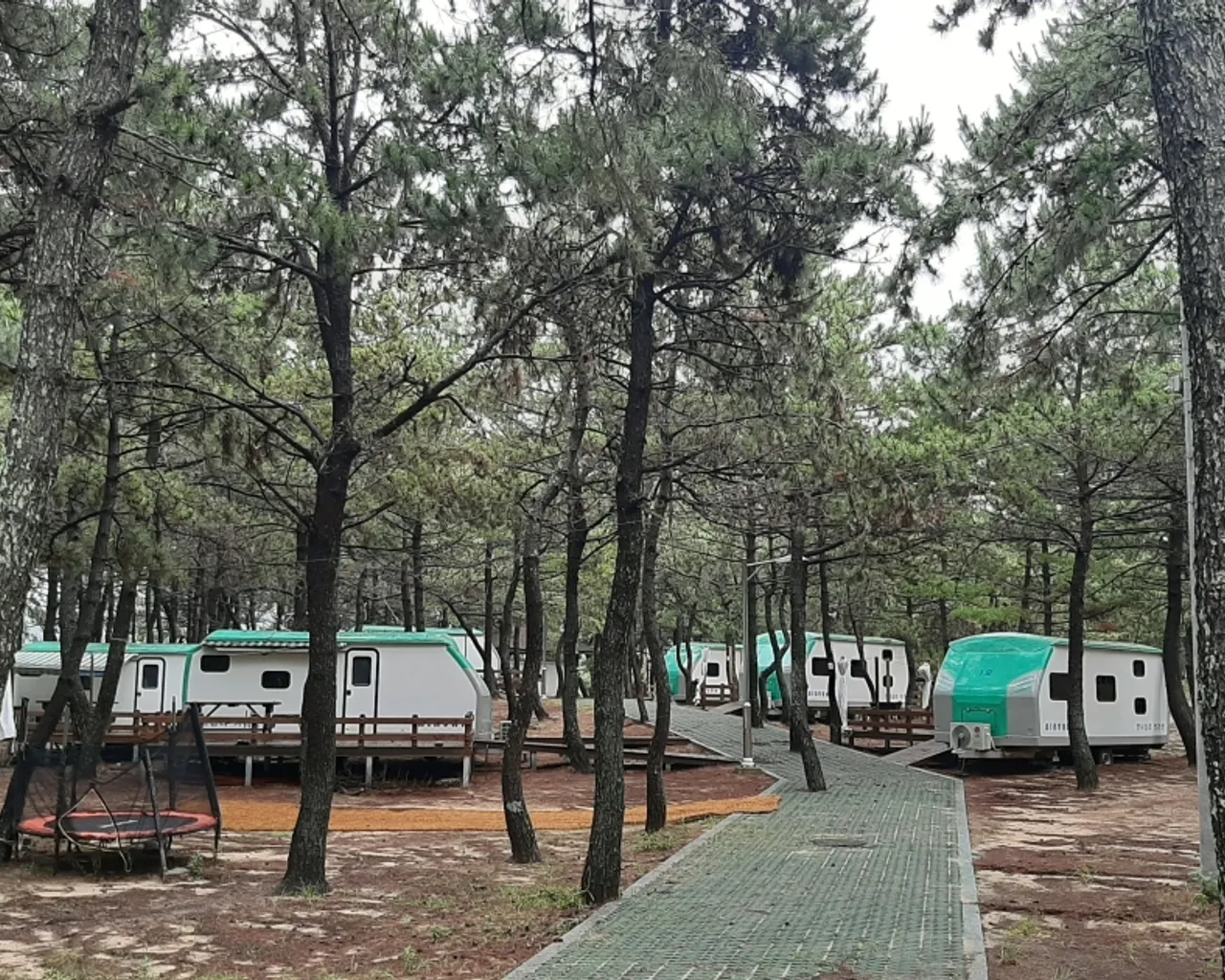 대표 사진