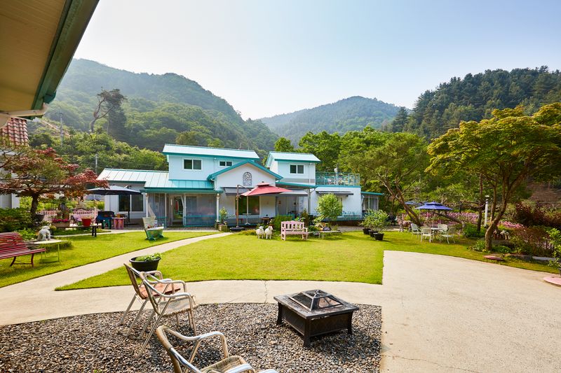 전경