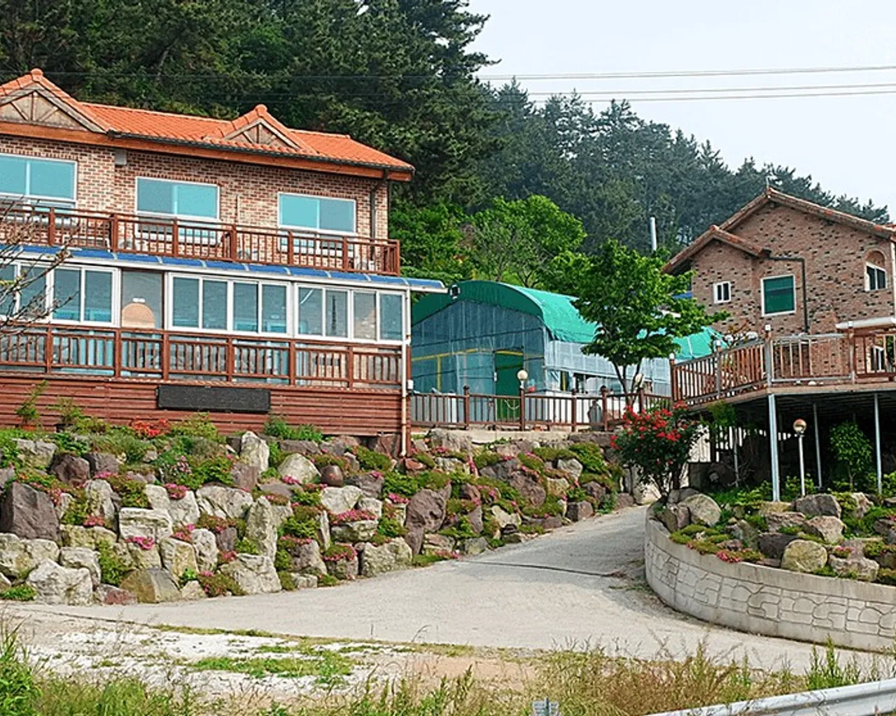 대표 사진