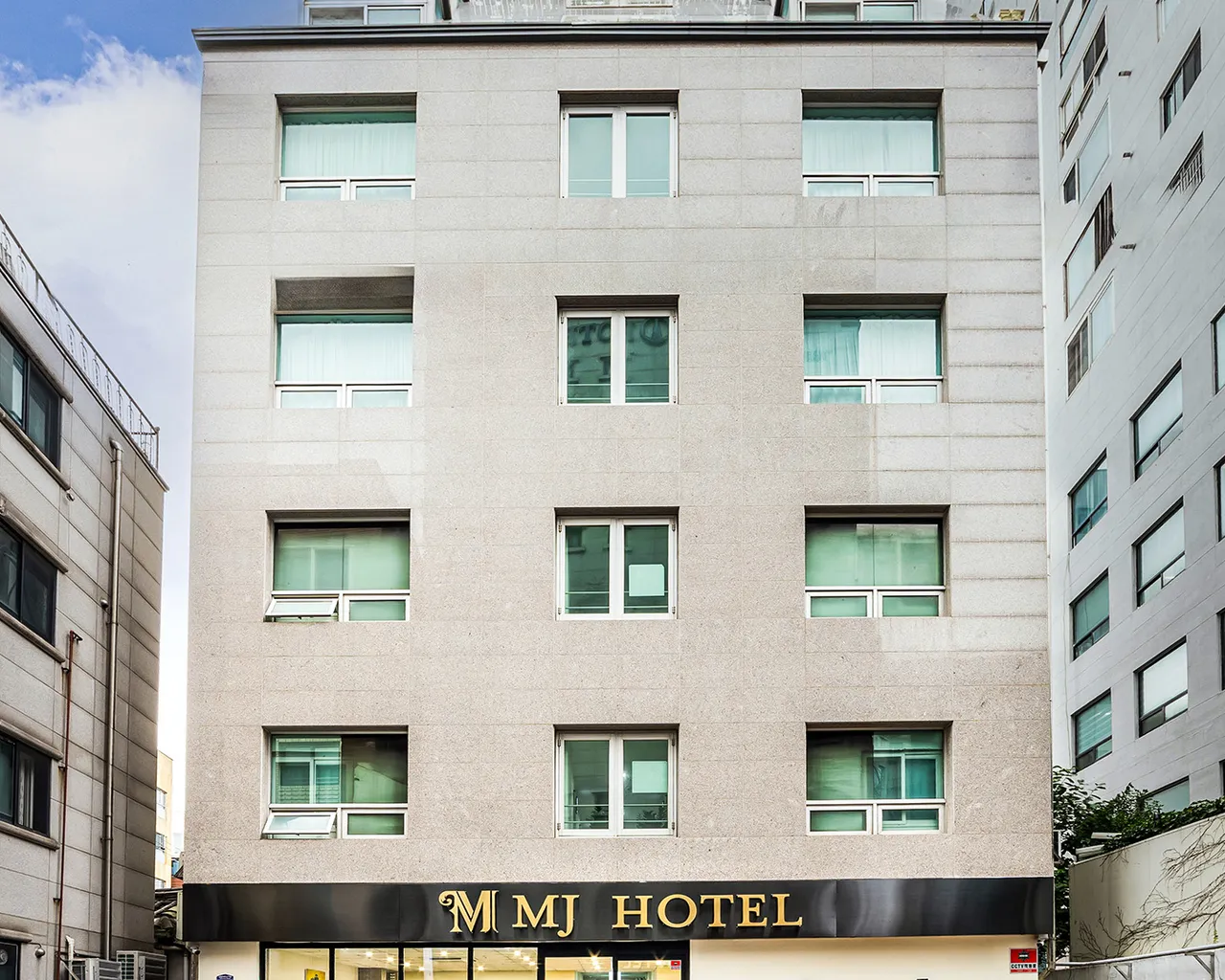 대표 사진