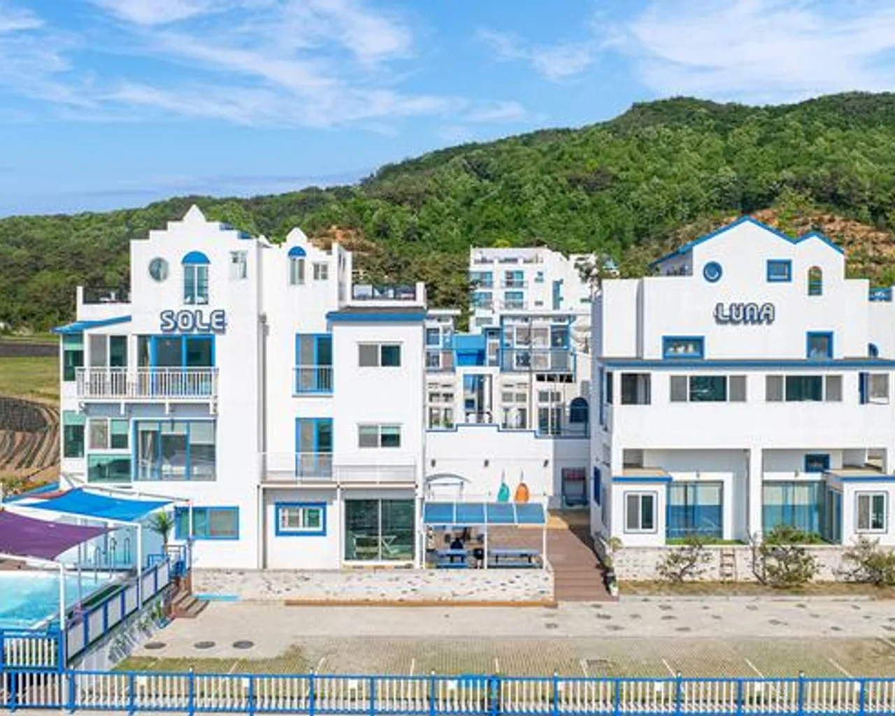 대표 사진