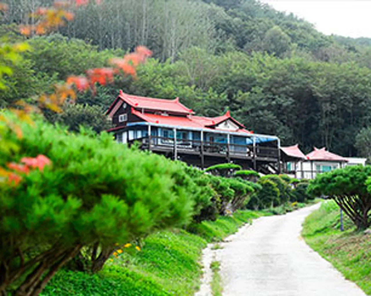 대표 사진