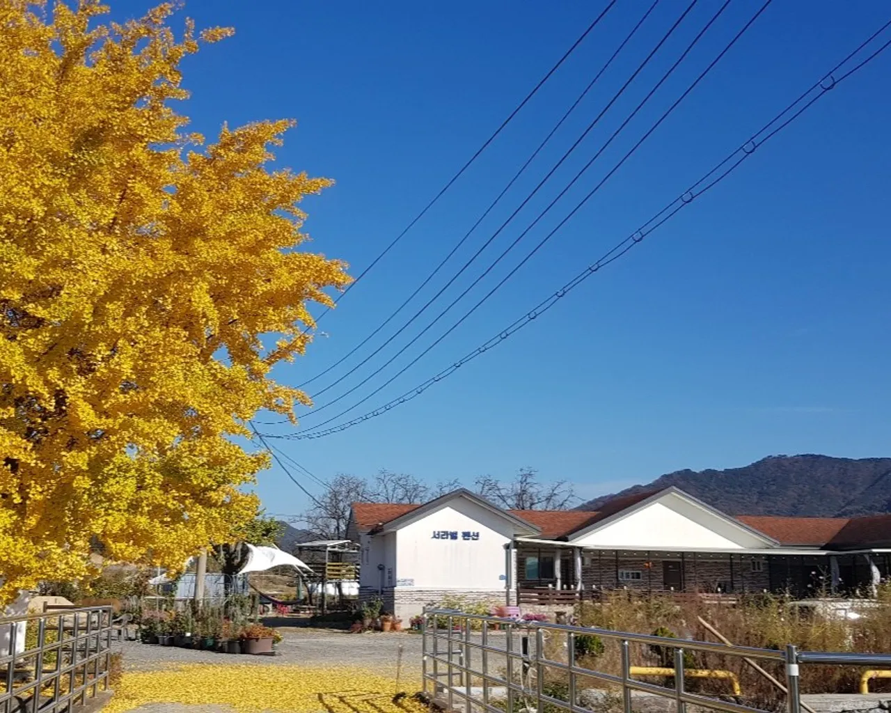 대표 사진
