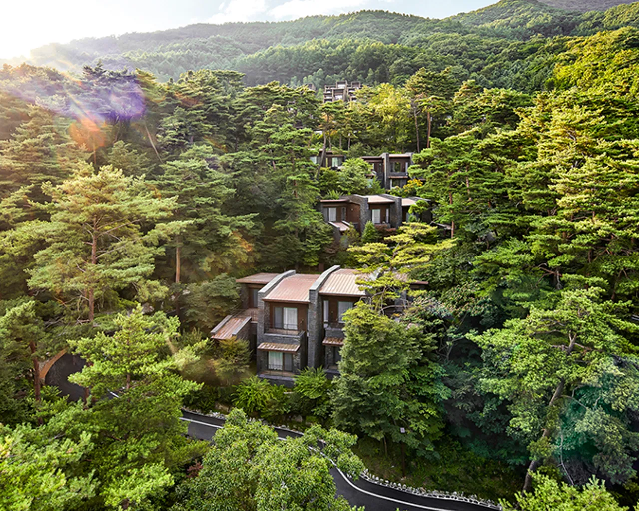 대표 사진