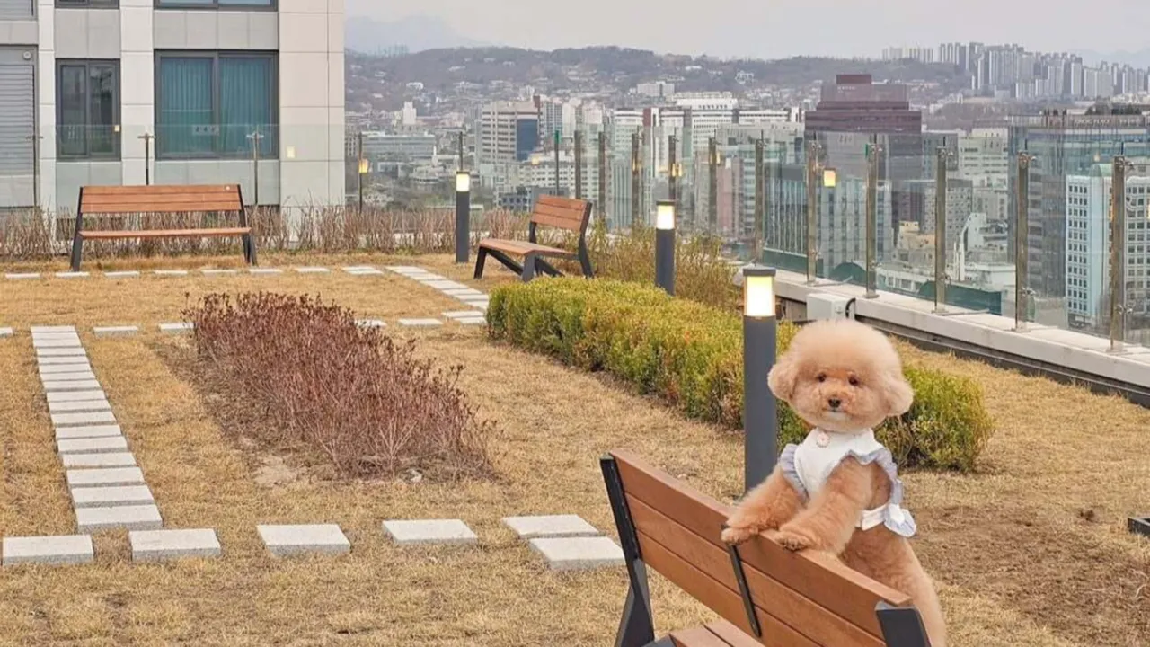 호텔 더 보타닉 세운 명동 사진