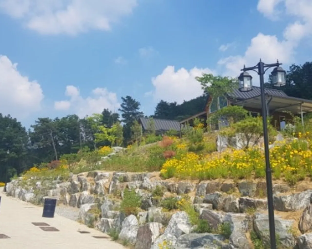 대표 사진