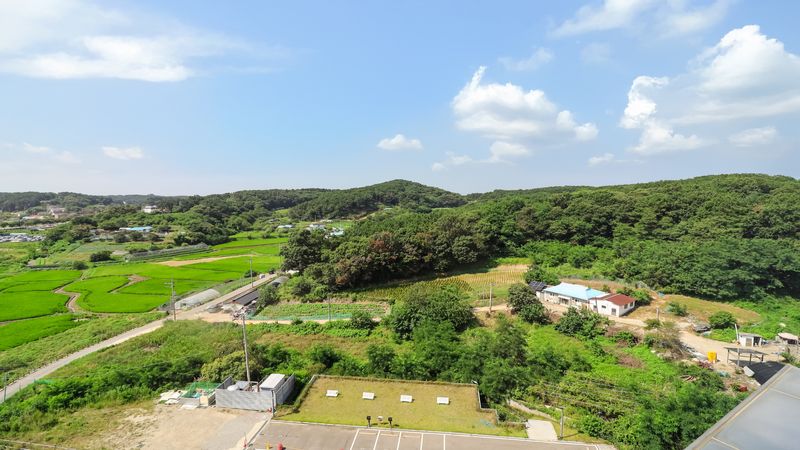 디럭스 트윈 마운틴뷰