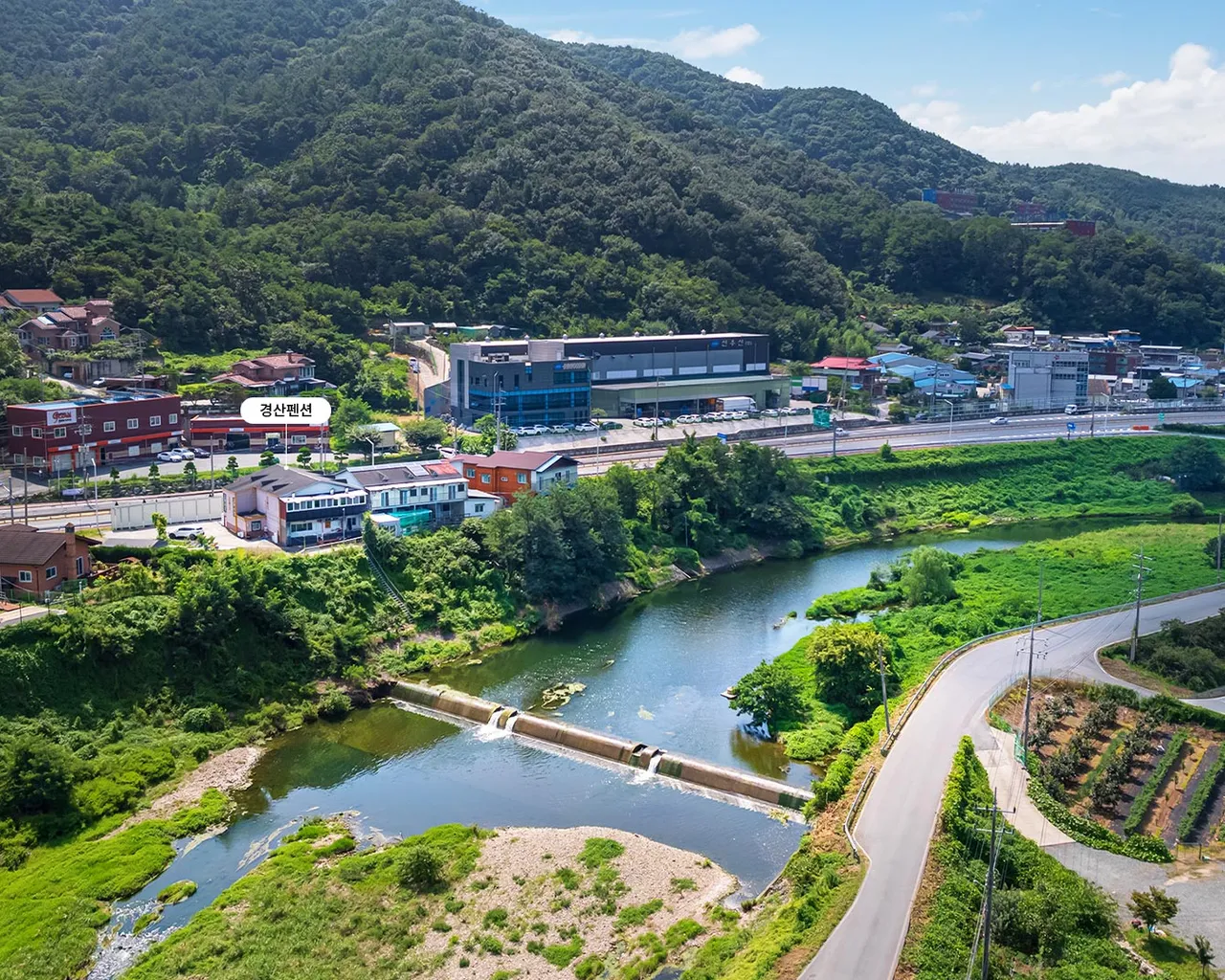 대표 사진