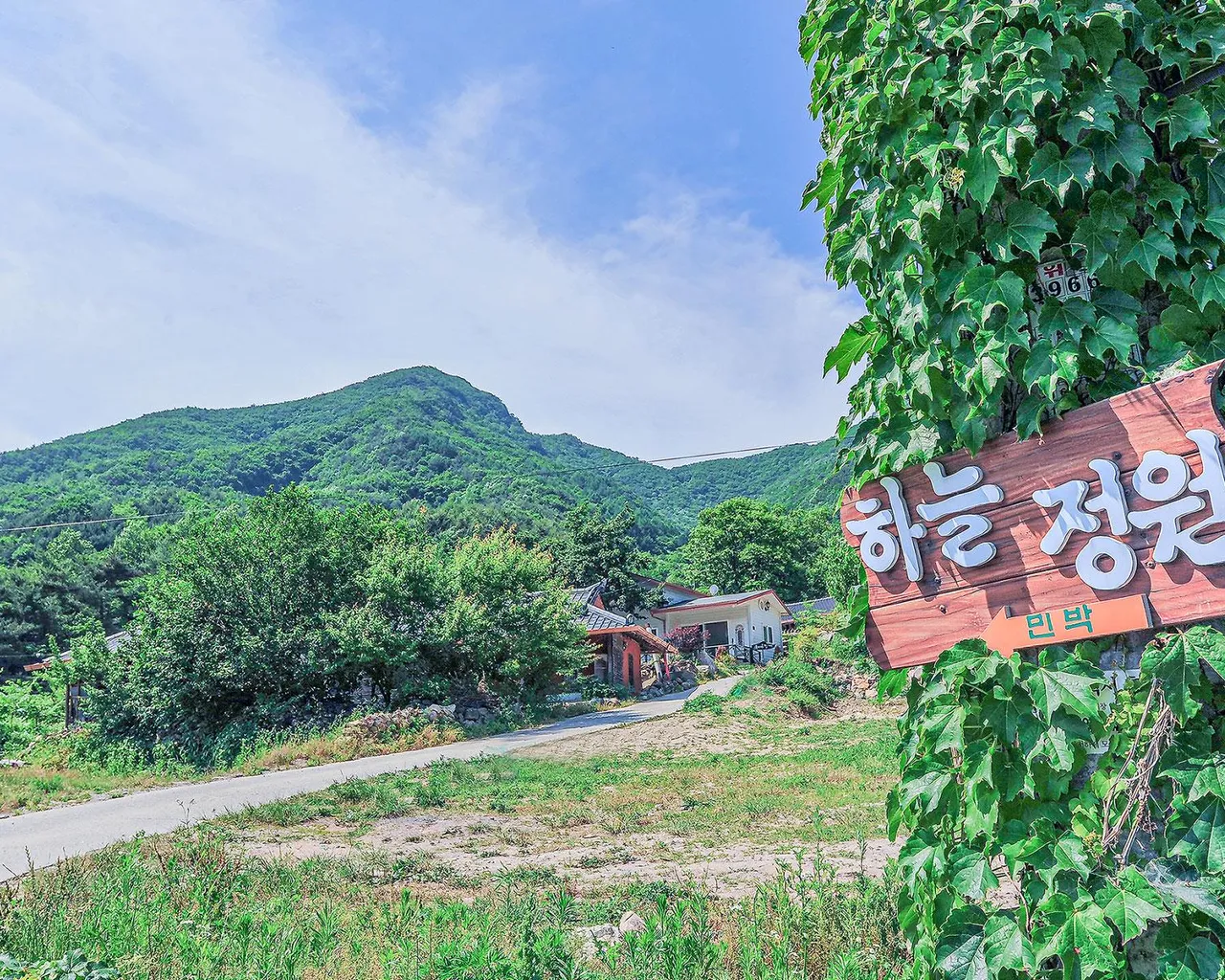 대표 사진