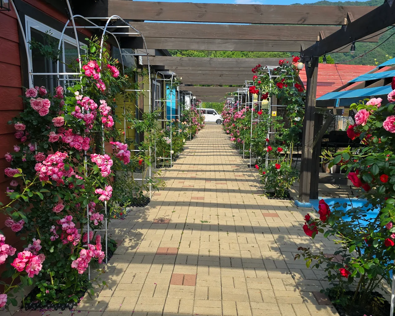 대표 사진