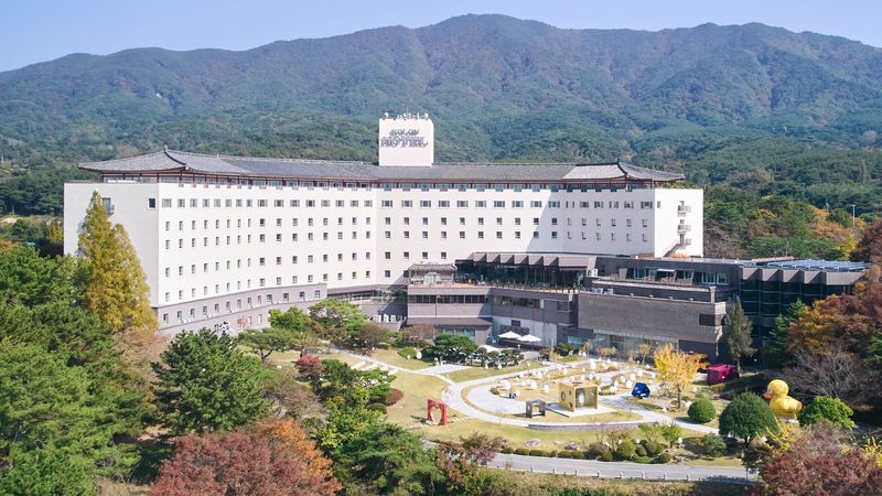 대표사진