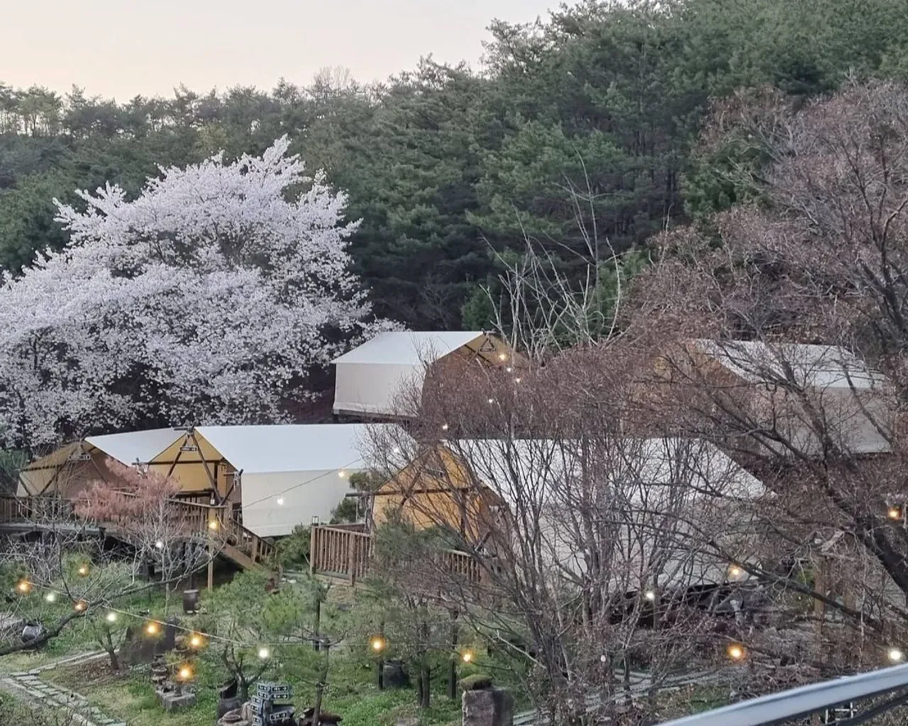 대표 사진