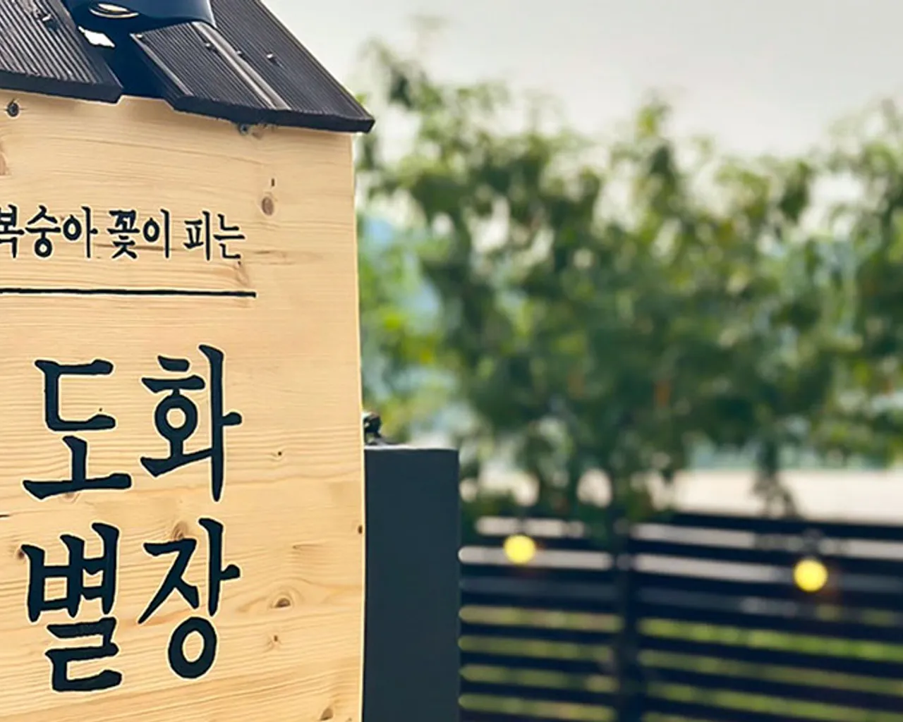 대표 사진
