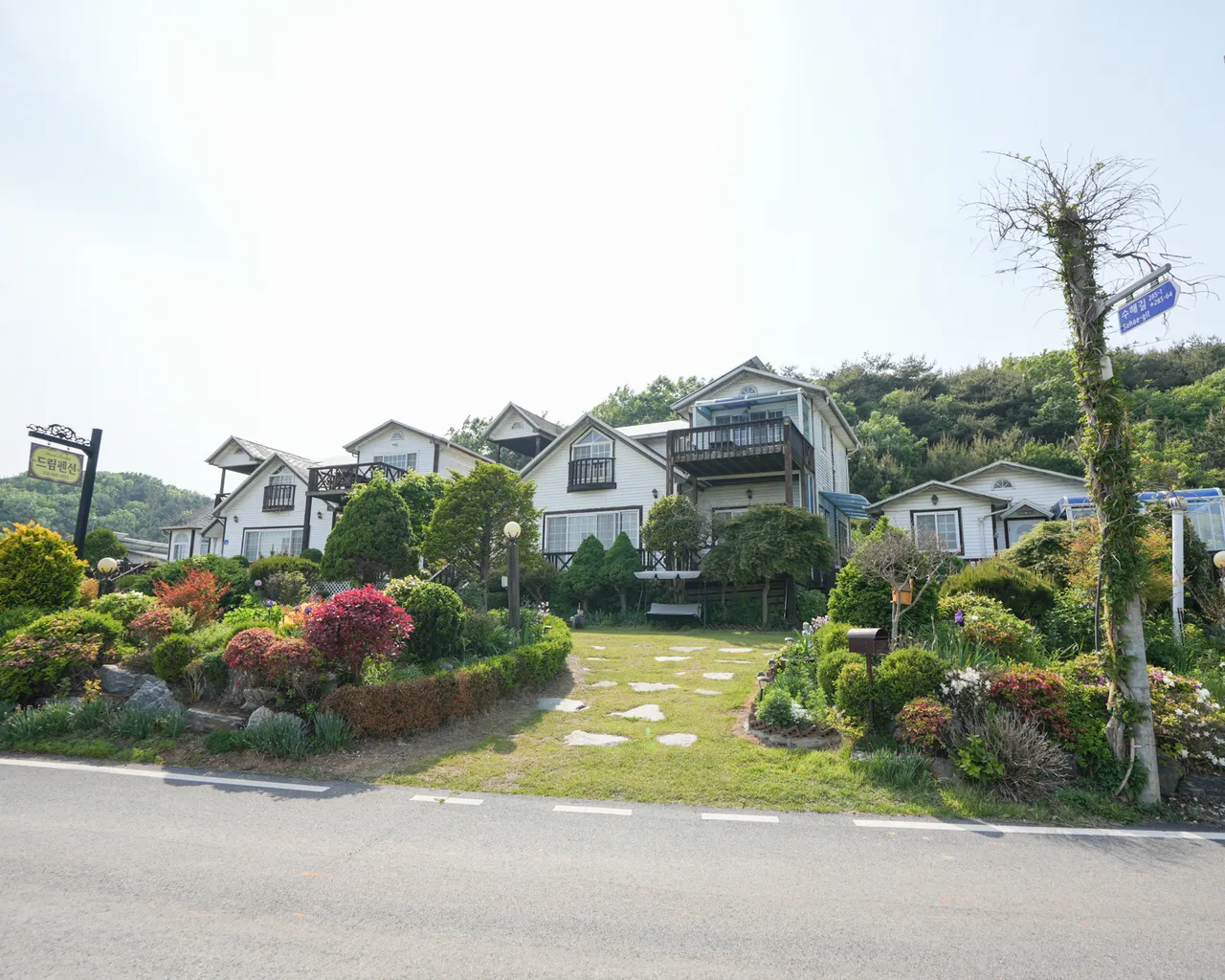 대표 사진