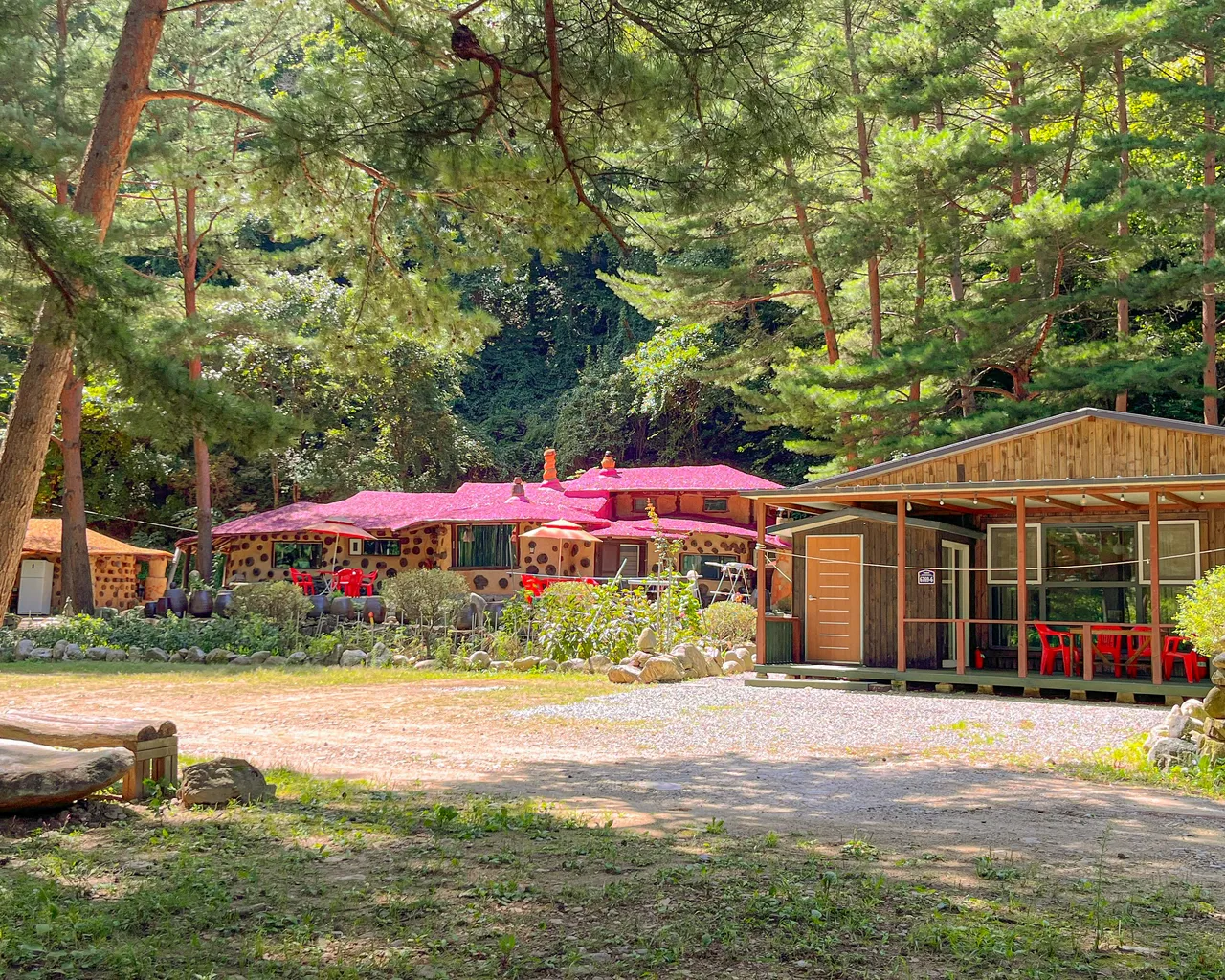 대표 사진