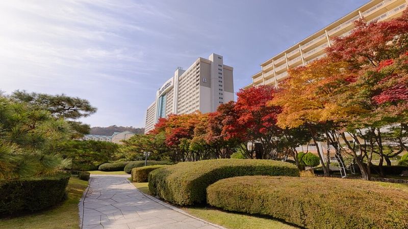 기타