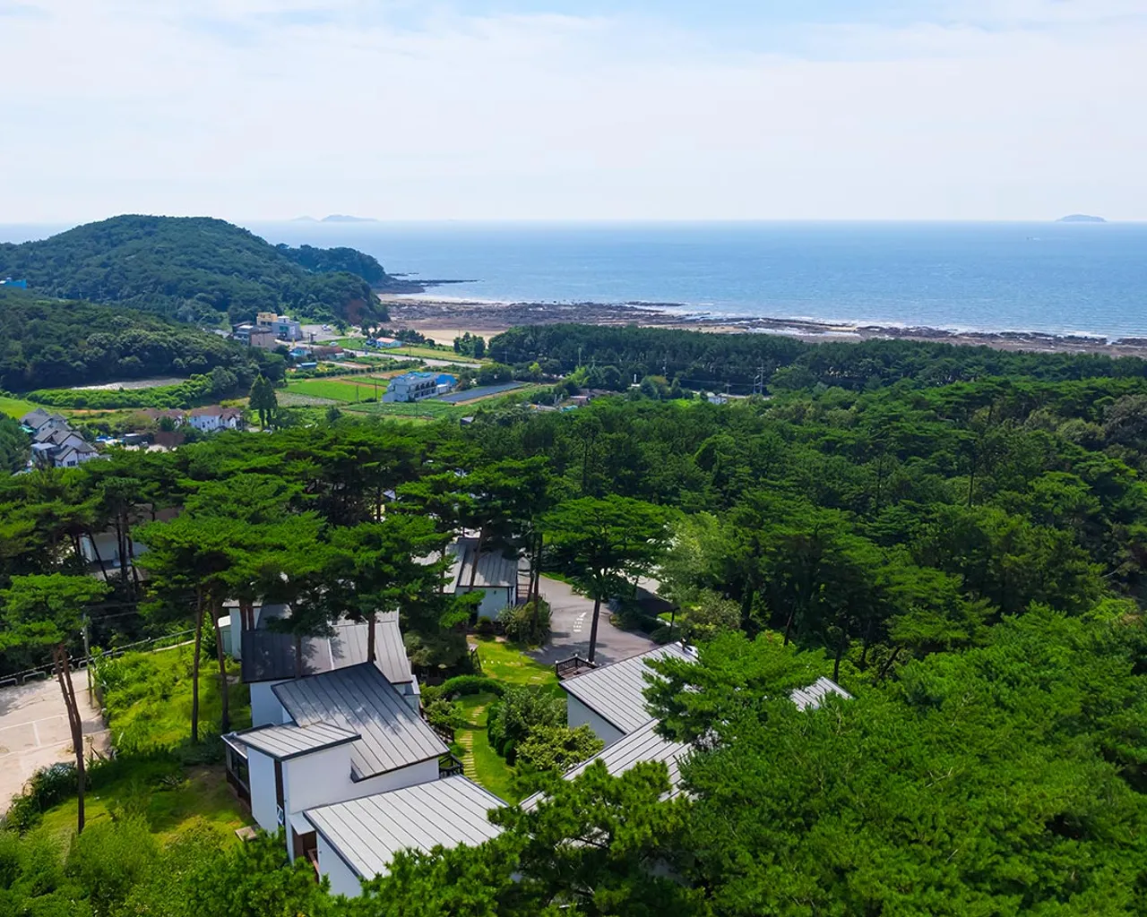 대표 사진
